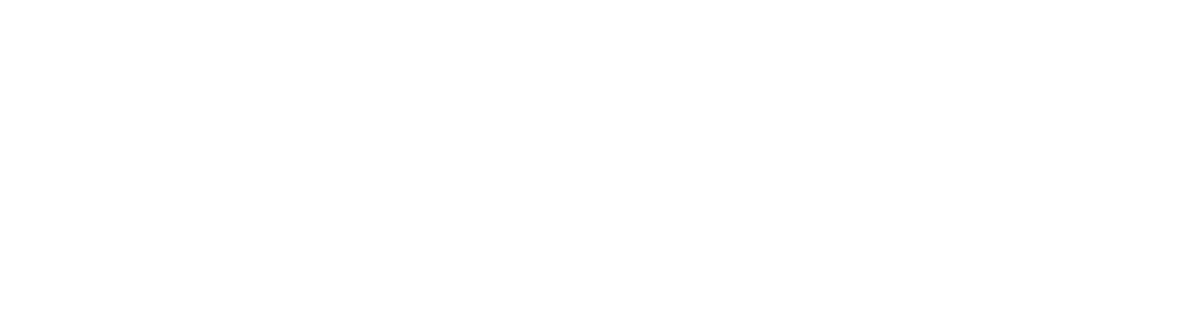 Wolfiz Logo